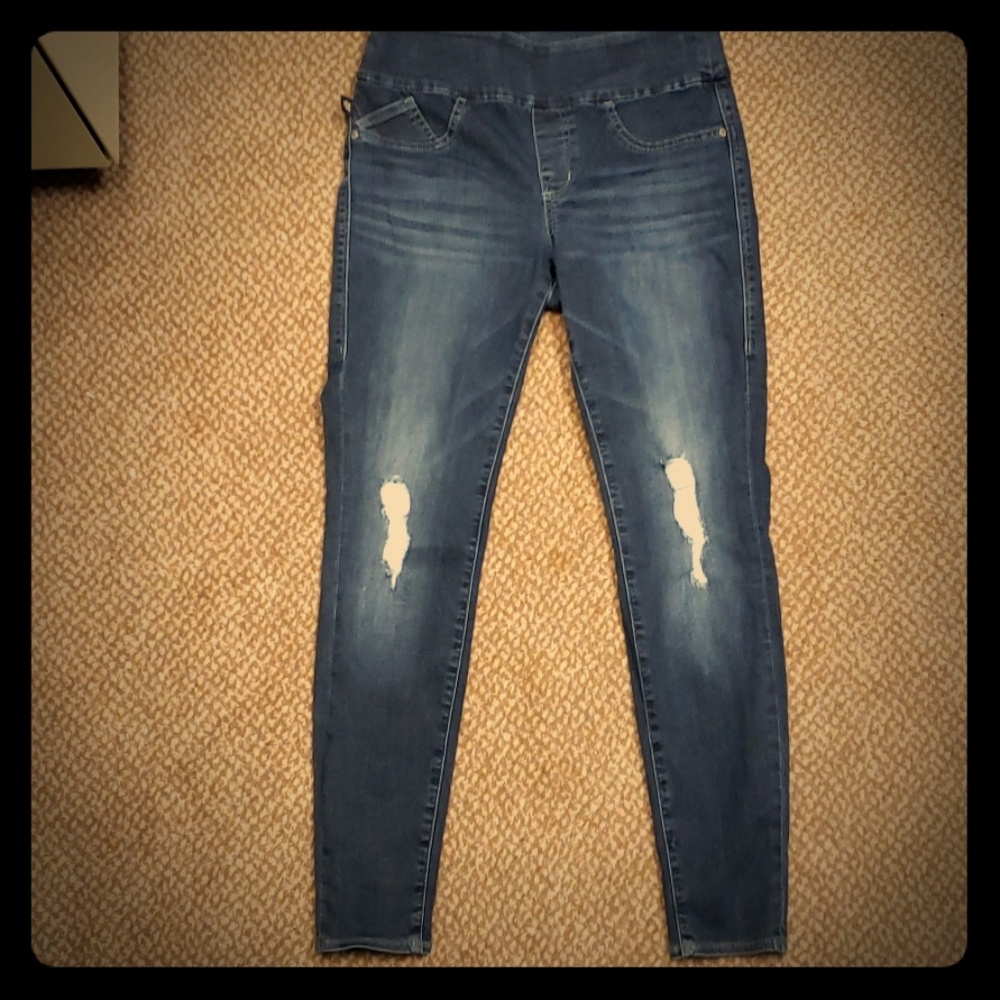 Rock & Republic Denim RX Distressed Jegging
